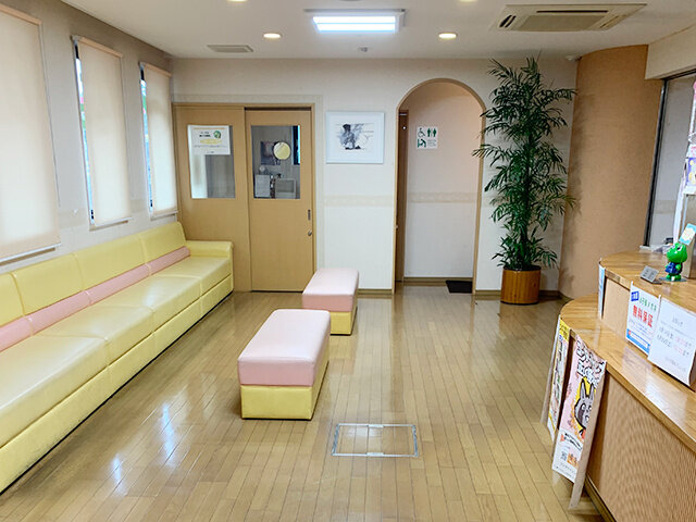 写真1
