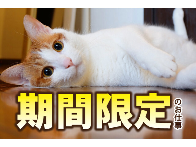 写真2
