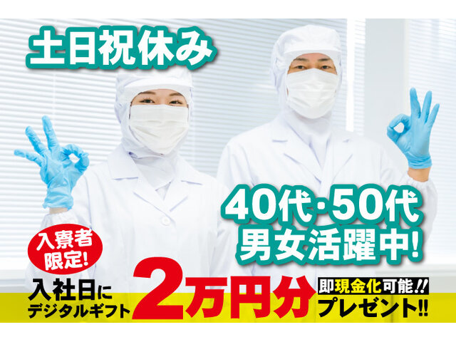 写真1