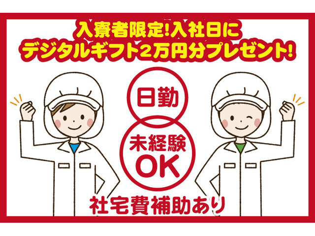 写真1