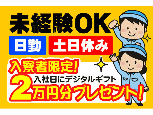 写真1