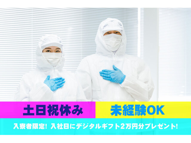写真1