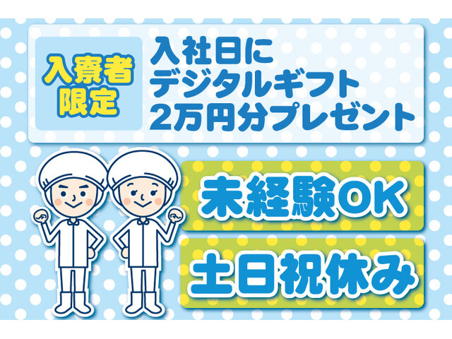 写真1