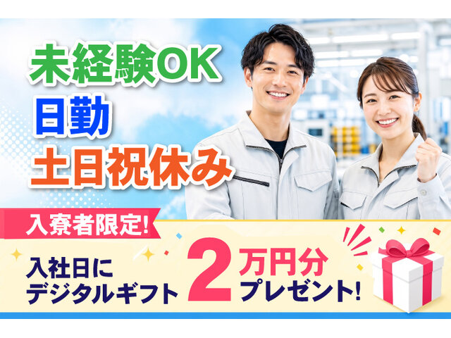 写真1
