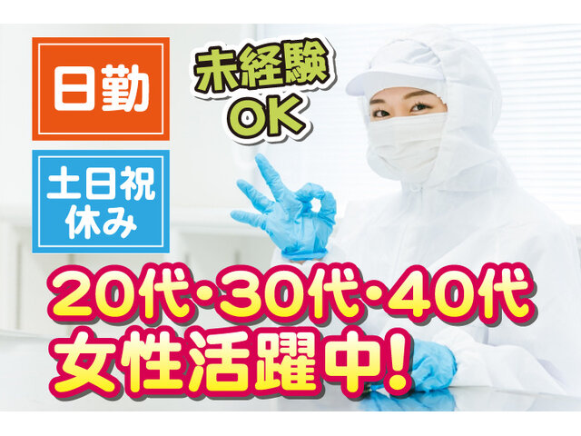 写真1