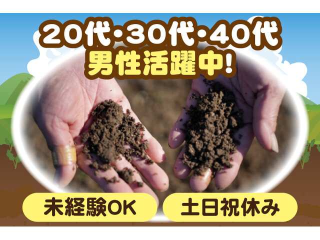 写真1