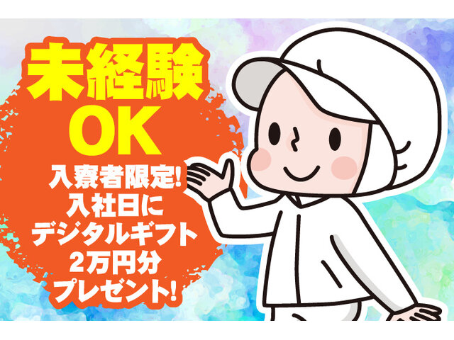 写真1