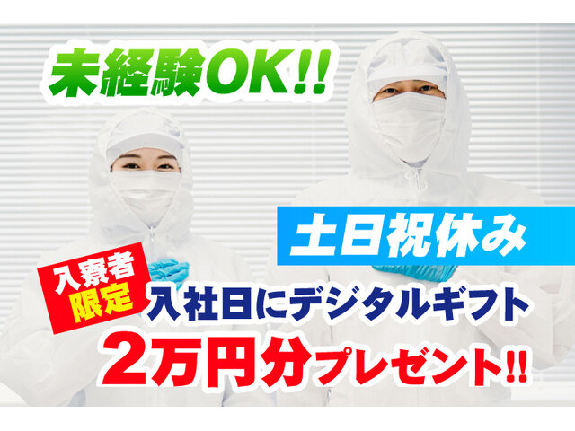 写真1