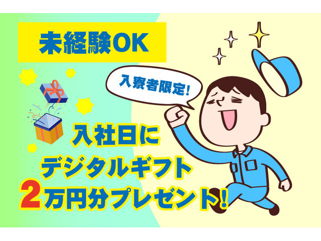 写真1