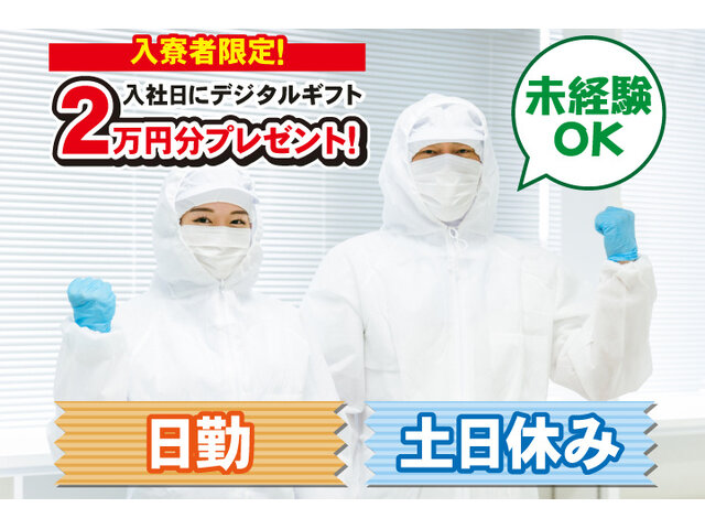 写真1