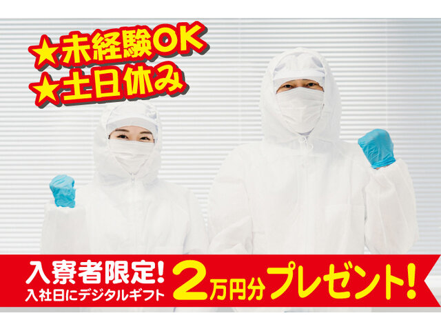 写真1