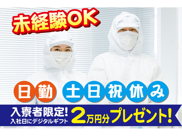 写真1