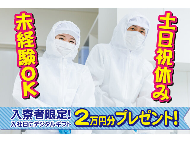 写真1