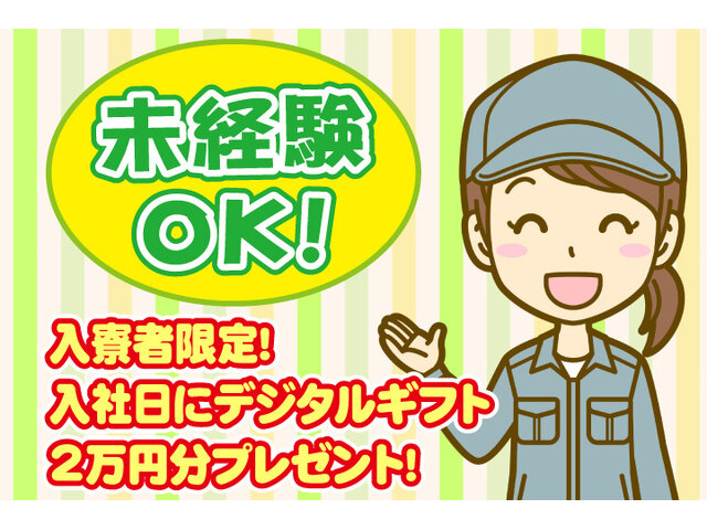 写真1