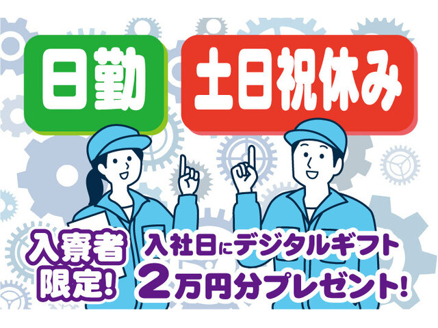 写真1
