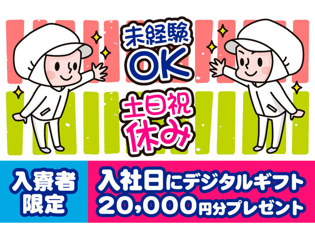 写真1