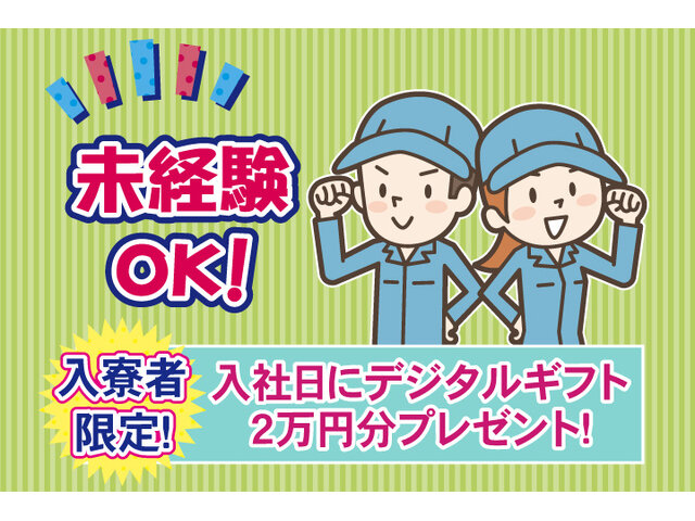写真1