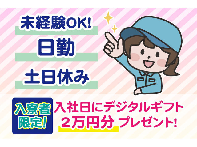 写真1
