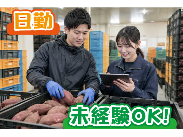 写真1
