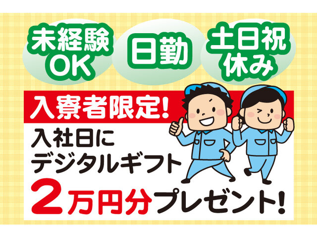 写真1