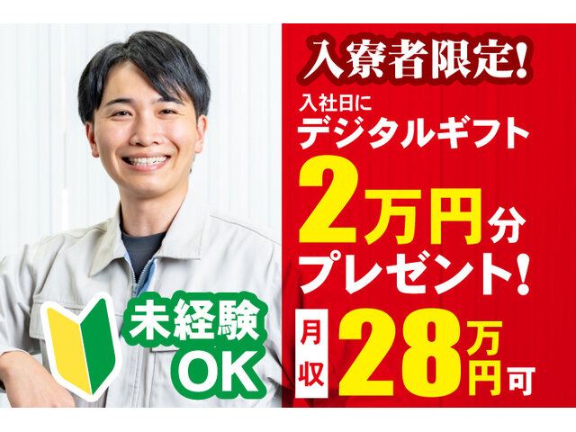 写真1