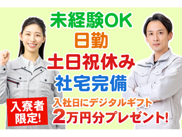 写真1