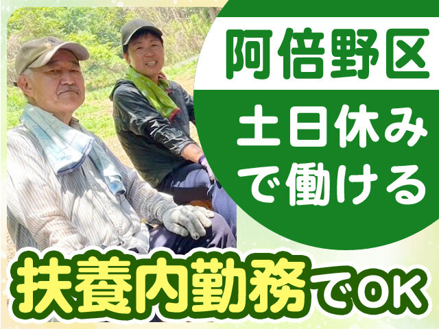 写真1
