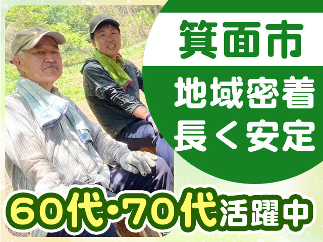 写真1