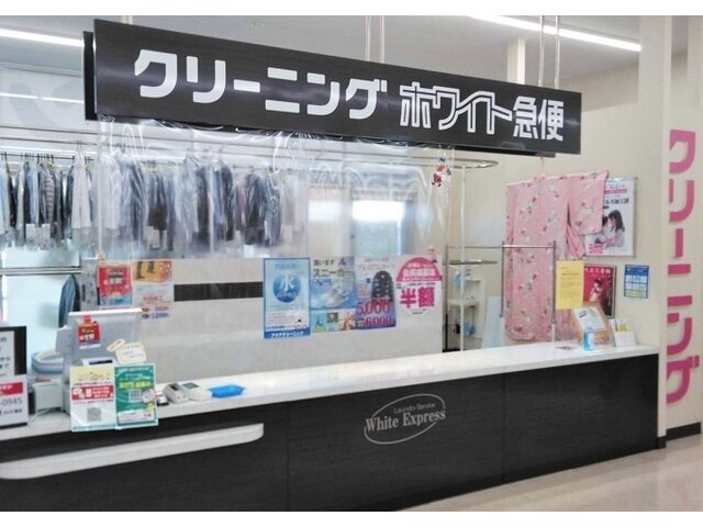 写真1