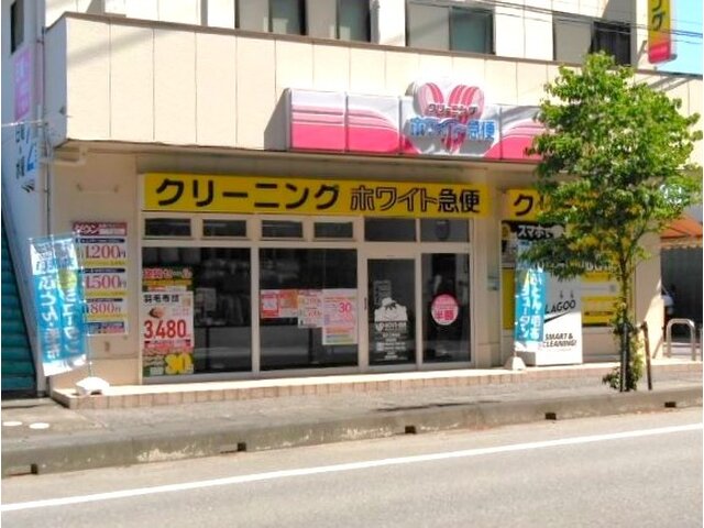 写真1