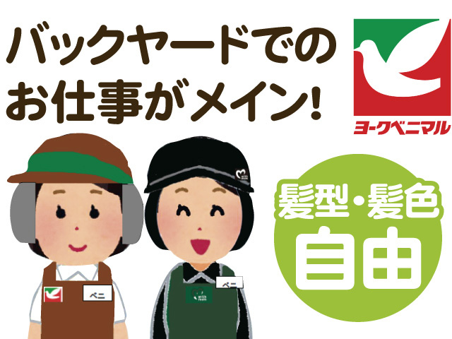 スーパーのスタッフのイラスト、バックヤードでのお仕事がメイン、髪型・髪色自由