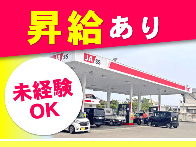 写真1