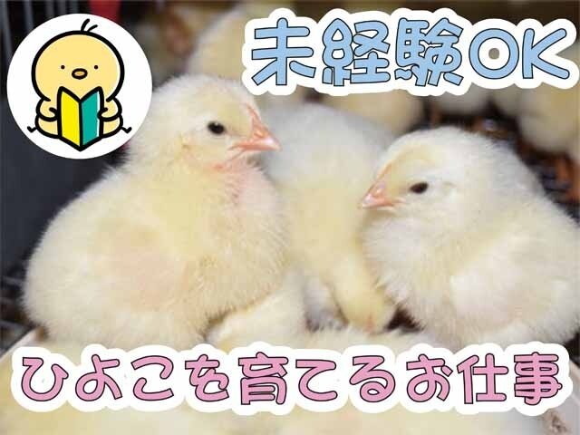 写真1