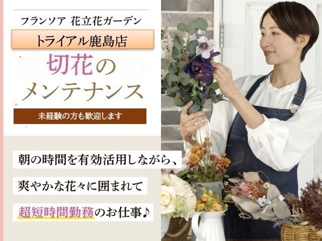 写真1