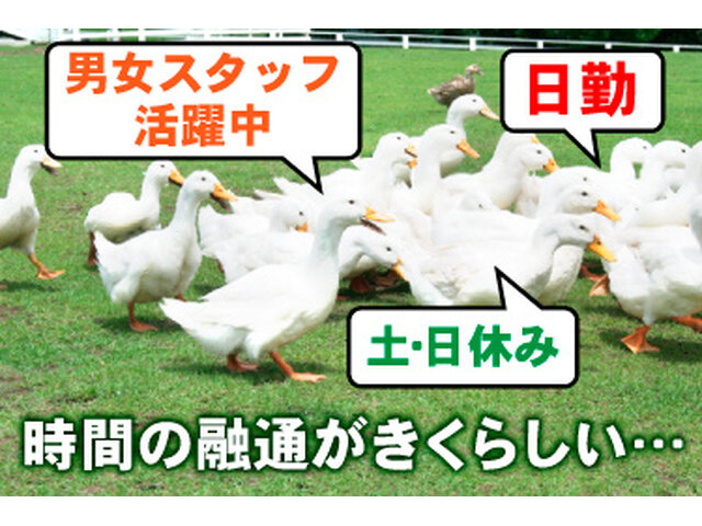写真1