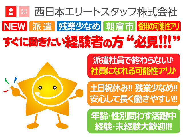 写真1