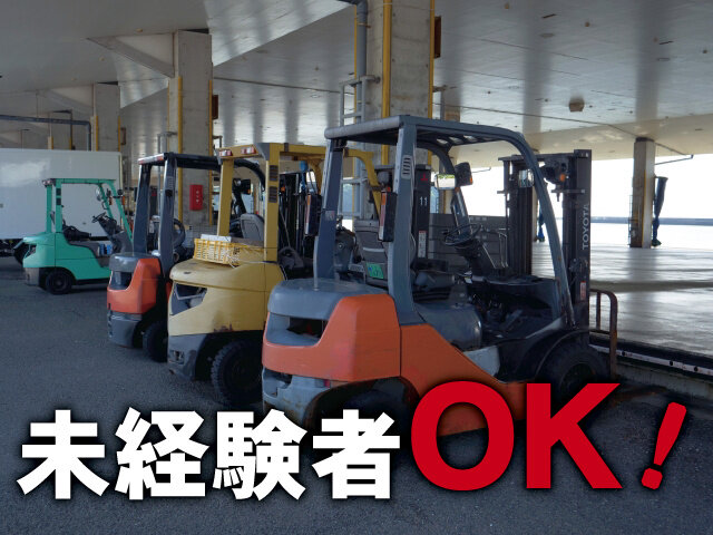 写真1