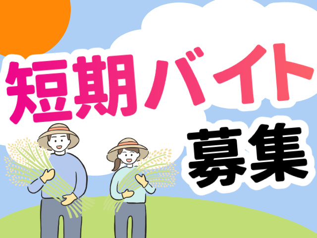 短期バイト／米・麦の栽培・収穫スタッフ