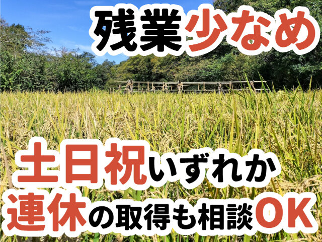 写真1