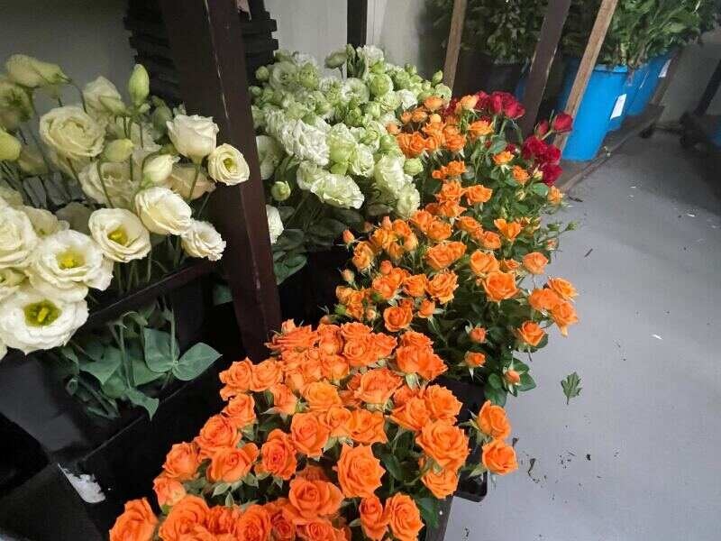 会場装飾　生花