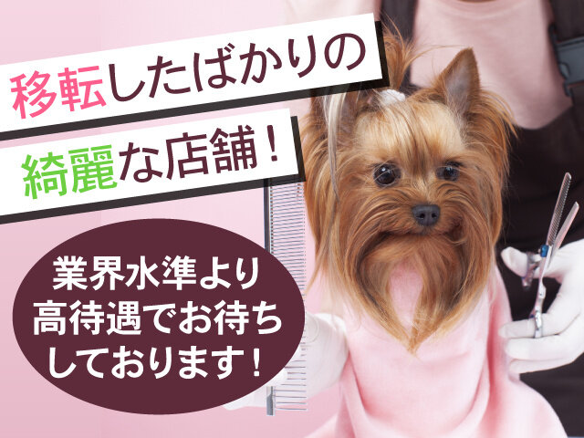 写真1