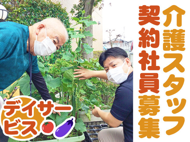 写真1