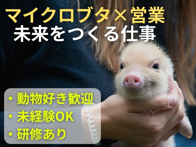 近畿中央ビジネス株式会社 東京営業所の求人情報を見る
