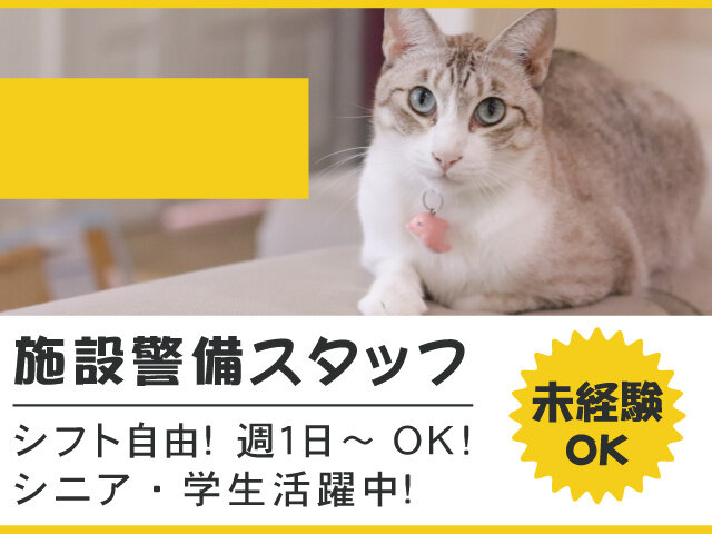 写真1