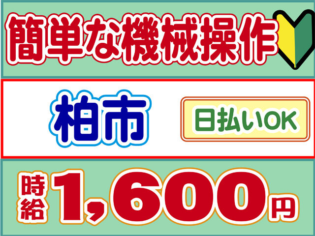 写真1