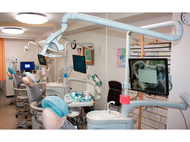 写真1