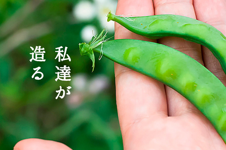 私達が造る　手のひらにのせたサヤエンドウの写真