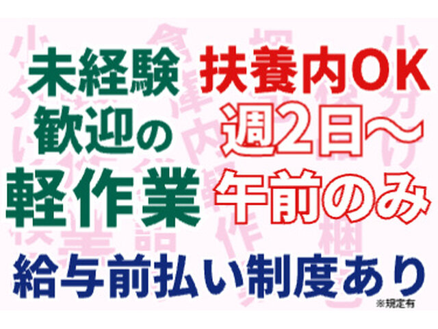 写真1