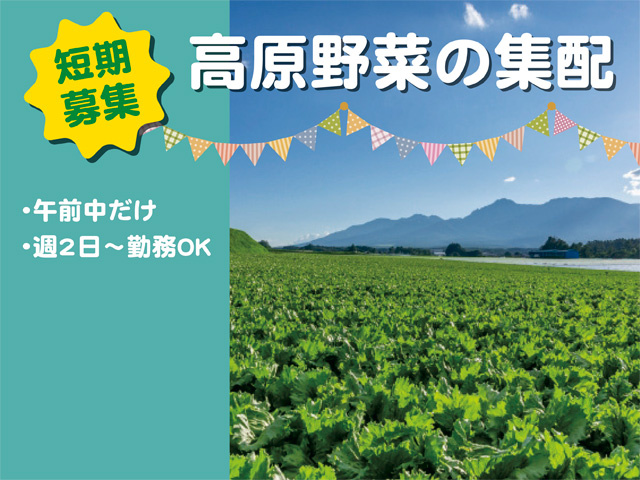 高原野菜の集配