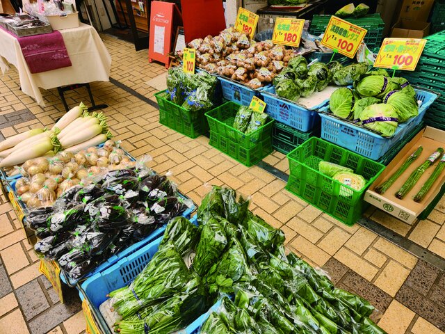 写真1